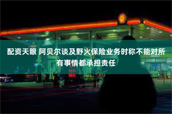配资天眼 阿贝尔谈及野火保险业务时称不能对所有事情都承担责任