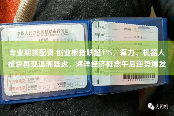 专业期货配资 创业板指跌超1%，算力、机器人板块再现退潮疑虑，海洋经济概念午后逆势爆发