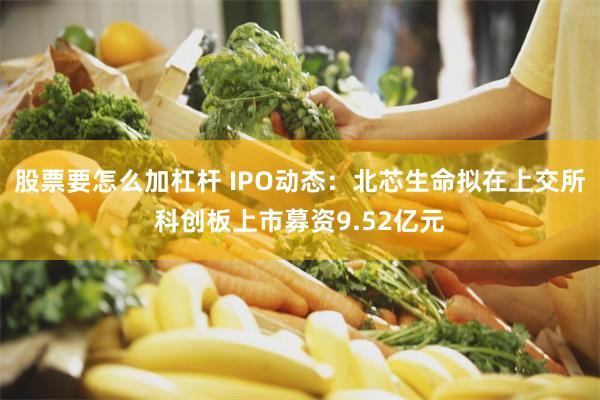 股票要怎么加杠杆 IPO动态：北芯生命拟在上交所科创板上市募资9.52亿元