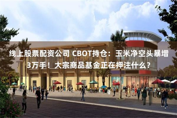 线上股票配资公司 CBOT持仓：玉米净空头暴增3万手！大宗商品基金正在押注什么？