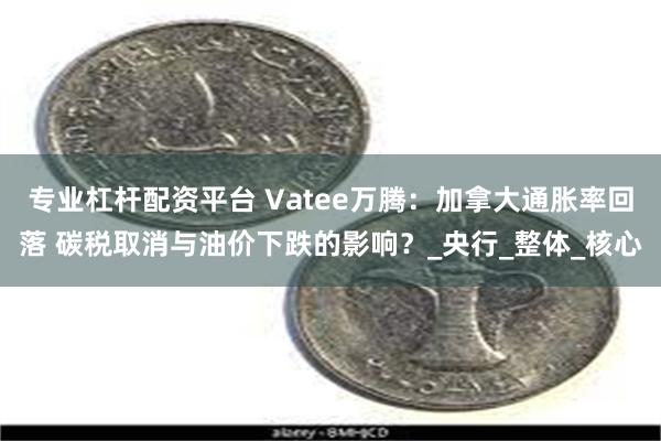 专业杠杆配资平台 Vatee万腾：加拿大通胀率回落 碳税取消与油价下跌的影响？_央行_整体_核心