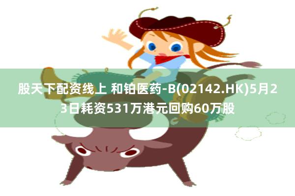 股天下配资线上 和铂医药-B(02142.HK)5月23日耗资531万港元回购60万股