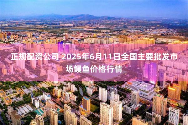 正规配资公司 2025年6月11日全国主要批发市场鳗鱼价格行情