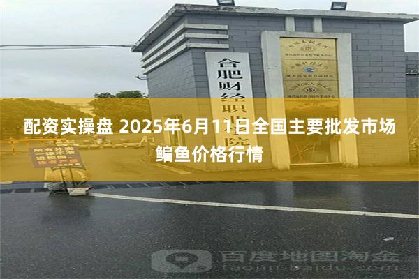 配资实操盘 2025年6月11日全国主要批发市场鳊鱼价格行情