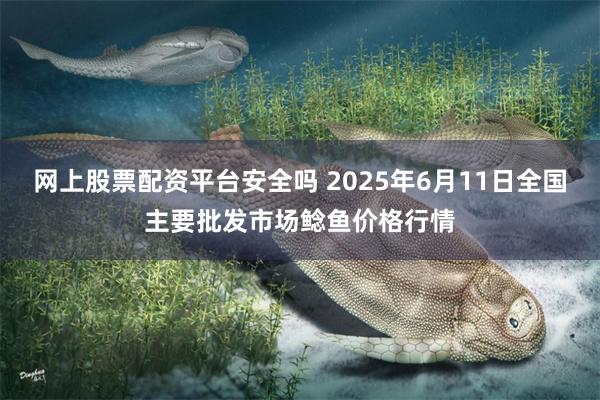 网上股票配资平台安全吗 2025年6月11日全国主要批发市场鲶鱼价格行情