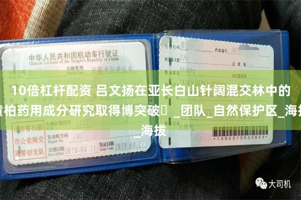 10倍杠杆配资 吕文扬在亚长白山针阔混交林中的黄柏药用成分研究取得博突破‌_团队_自然保护区_海拔