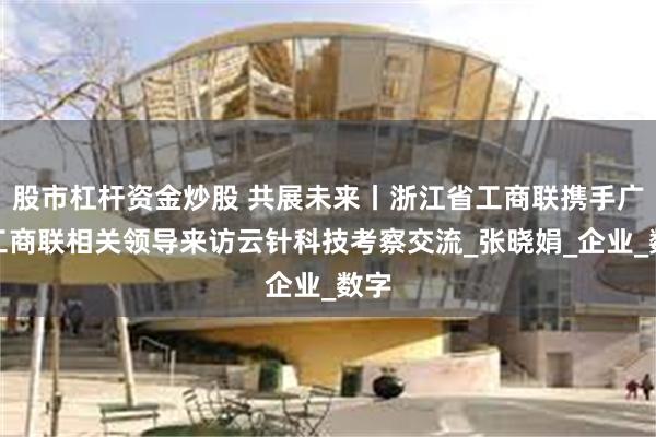股市杠杆资金炒股 共展未来丨浙江省工商联携手广西工商联相关领导来访云针科技考察交流_张晓娟_企业_数字