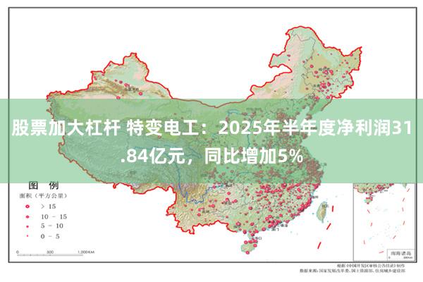 股票加大杠杆 特变电工：2025年半年度净利润31.84亿元，同比增加5%