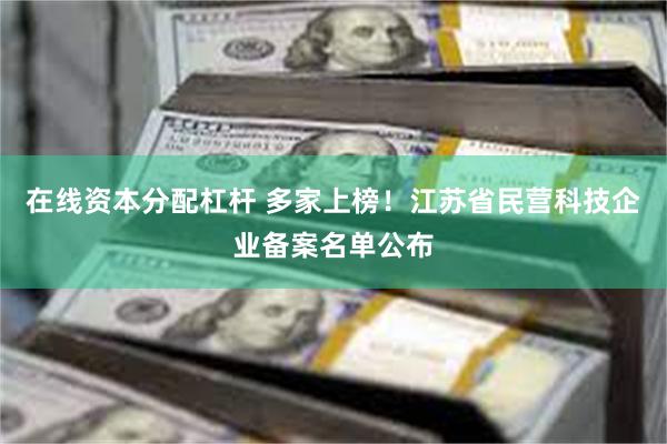 在线资本分配杠杆 多家上榜！江苏省民营科技企业备案名单公布